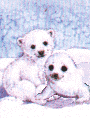 �til & F�til - Cart�es Virtuais