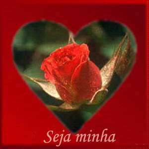 �til & F�til - Cart�es Virtuais