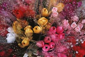 �til & F�til - Cart�es Virtuais