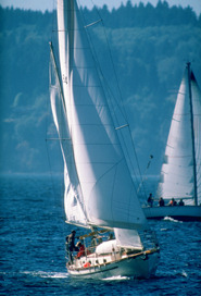 �til & F�til - Cart�es Virtuais